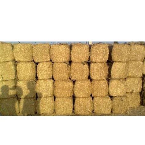 Yellow Wheat Straw Bales, Pack Size: 15-150 Kg at Rs 4500/ton in ...