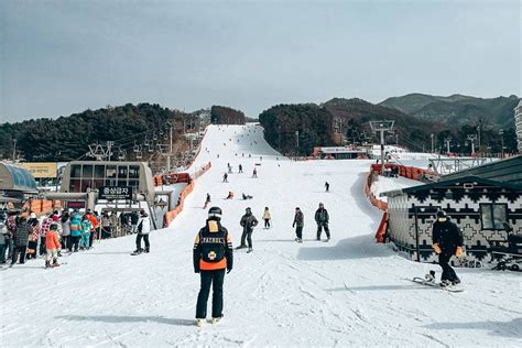 The 12 BEST Korea Ski Resorts Near Seoul [2024]