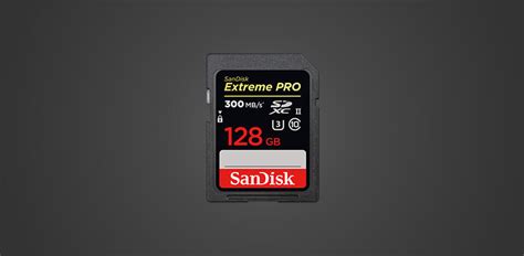 11 Best SD Cards for DSLR in 2024