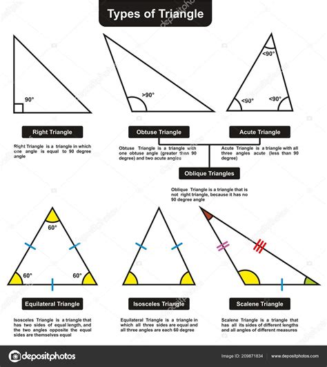 Different Types Triangles Definitions Angles Infographic Diagram ...