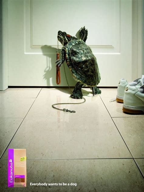 25 Cute And Funny Print Ads Starring Animals | Print ads, Print ...