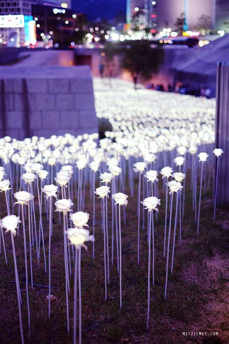 Dongdaemun Night Market - Shop Around the Clock - Seoul Guide