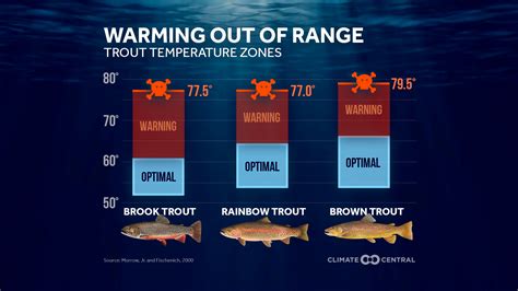 What Water Temperature Is Best For Bass Fishing | Hot Sex Picture