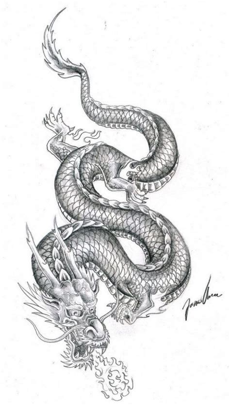 Dragon Sketch Tattoo