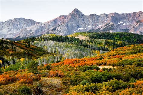 2020 Guide to Fall Foliage in Colorado - CU Denver News