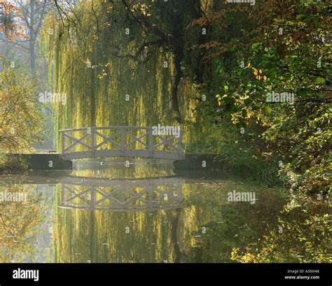 bridge in autumn Stock Photo - Alamy