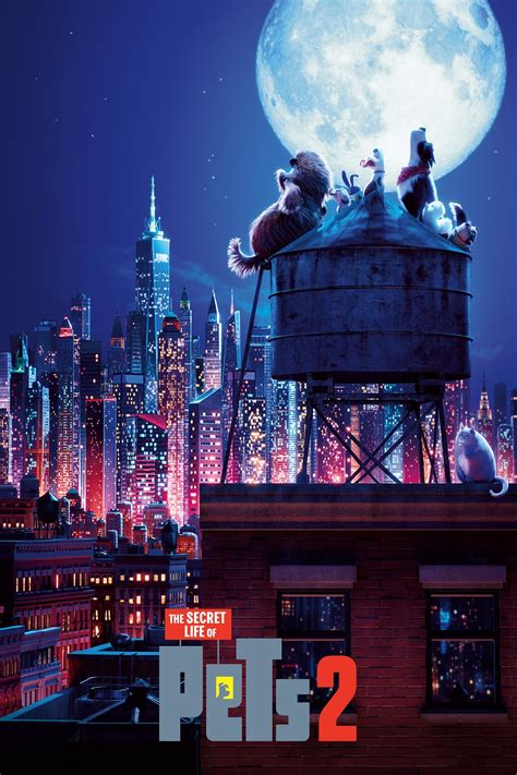 Watch The Secret Life Of Pets 2 2019 full movie online free HD | Teatv