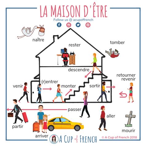 French verbs using Être in past tense passÉ composÉ – Artofit