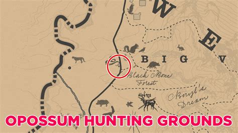 Opossum rdr2 location