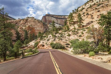 Scenic Drive In Zion National Park Stock Photo - Image of petrified ...