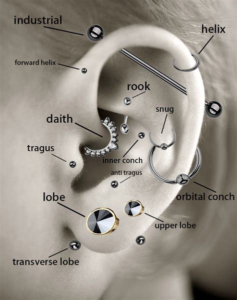 Ear Piercing Names Diagram Piercing Ear Chart Piercings Diag