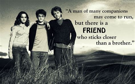 Harry Potter Friendship Quotes - ShortQuotes.cc