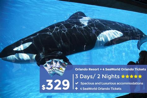 Orlando Getaway: 3-Day Stay + 4 SeaWorld Orlando Tickets | From $329