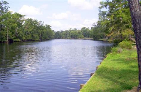 State Parks in Louisiana - Best Campgrounds | Hipcamp