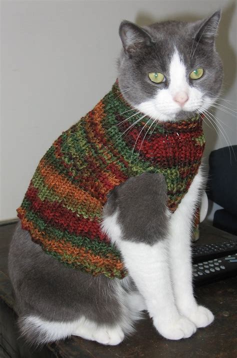 Knitting Patterns For Cat Sweaters - Mikes Nature