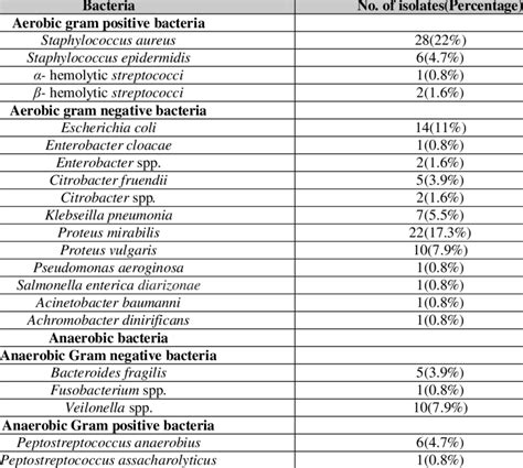 Anaerobic Vs Aerobic Bacteria