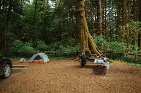 25 Incredible Oregon Coast Campgrounds To Book ASAP - The Mandagies