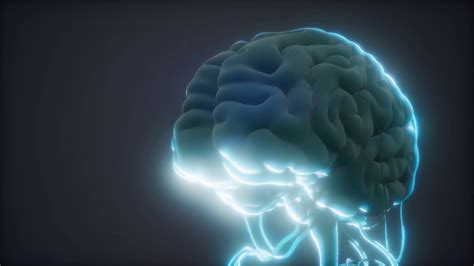 animated model of human brain Motion Background 00:10 SBV-346406768 ...