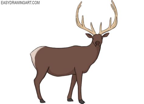 16,100+ Elk Illustrations, Royalty-Free Vector Graphics & Clip Art ...