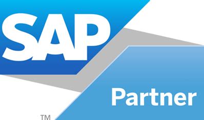 SAP Project Systems – MMTech