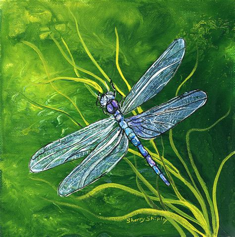 Dragonfly Painting by Sherry Shipley - Fine Art America