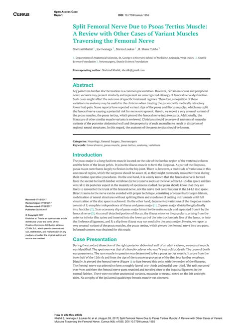 Split Femoral Nerve Due to Psoas Tertius Muscle: a Review with Other ...