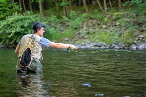 Mastering The Art Of Fly Fishing With Different Fly Lines - BackCast ...