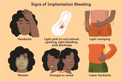 Does Implantation Bleeding Means Pregnancy - Infoupdate.org