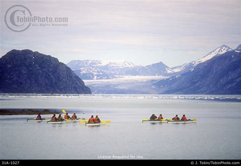 Glacier Bay Kayaking Photo 31A-1027