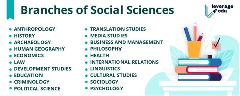 What are the Branches of Social Sciences?, their Meanings, Importance ...