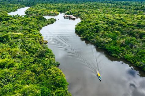 All About Iquitos Peru - Aya Healing Retreats