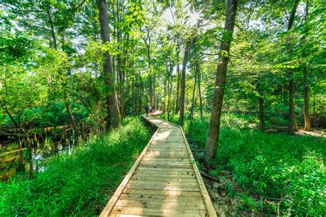 New Braunfels Hiking Trails: The Top 10 Destinations