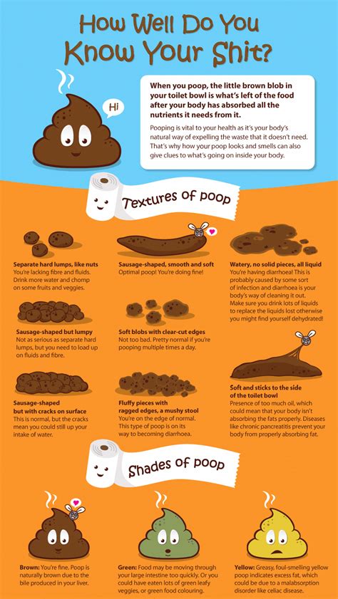 What Does Fat Look Like In Your Stool - What Does