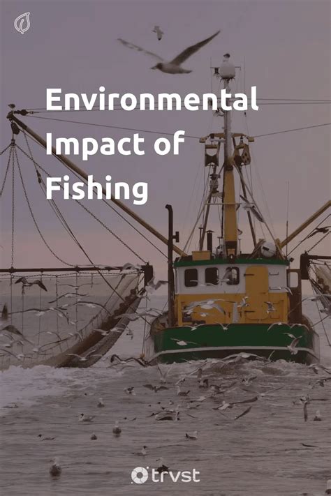 Environmental Impact of Fishing