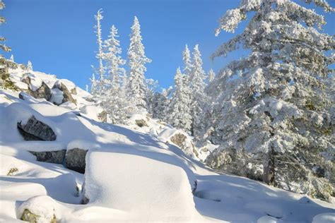 Winter Landscape. Snowy Forest at Mountains, Russia, Ural. Stock Image ...