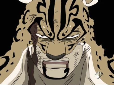 The Leopard Rob Lucci Face | Anime Fairy Blog