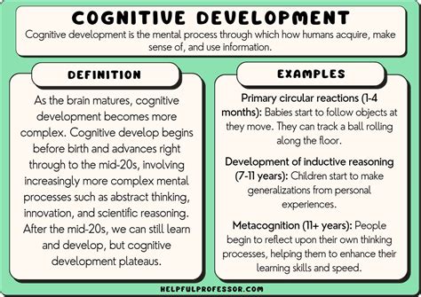 18 Cognitive Development Examples (2024)