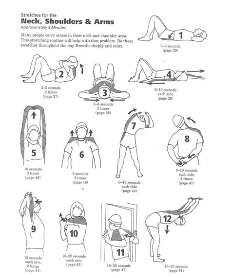 neck and shoulder stretches - Google-haku Neck Exercises, Body ...