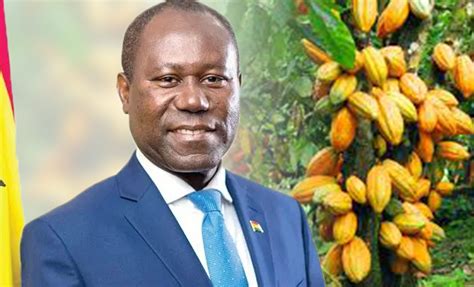 Ghana Cocoa Board Inks $600 Million Loan Agreement from AFDB ...