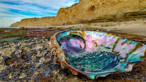 Sunset Cliffs Natural Park | Ocean Beach San Diego CA