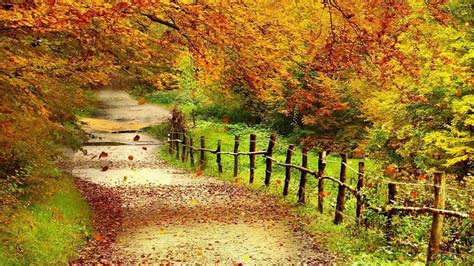 Autumn Scenery Wallpaper (57+ images)