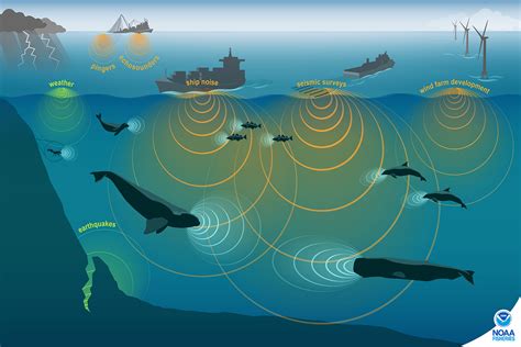 Ocean Noise | NOAA Fisheries