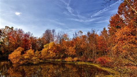 Bing Wallpaper Gallery Autumn