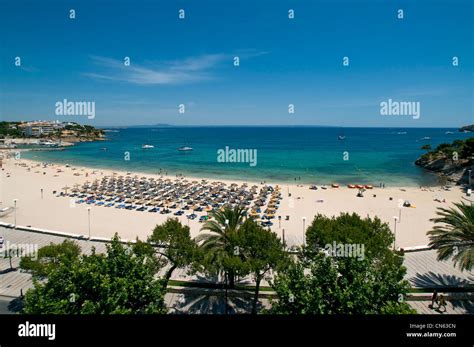 Palma Nova Beach Majorca Balearics Spain Stock Photo - Alamy