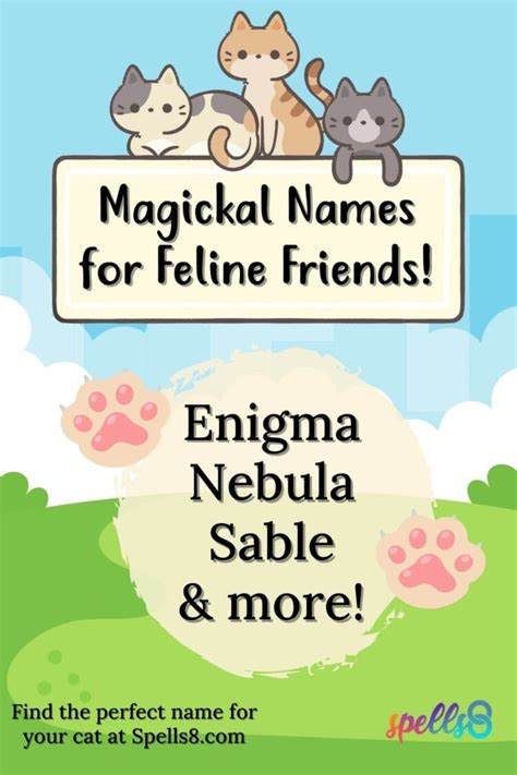 10+ Magickal Names for your Feline Friends! – Spells8