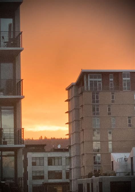 Tonight’s sunset in Portland. : r/Portland