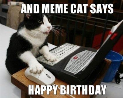 Funny Happy Birthday Cat Meme - 2HappyBirthday