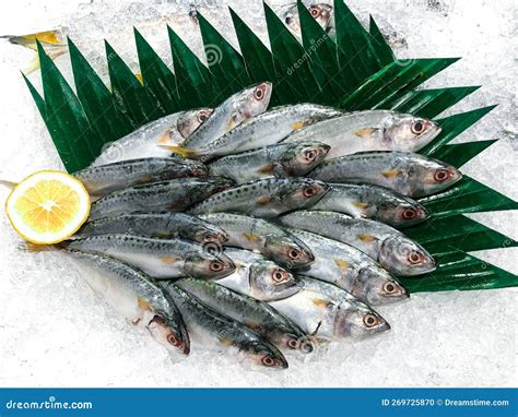 Various Types of Fresh Fish are on the Market Stock Photo - Image of ...