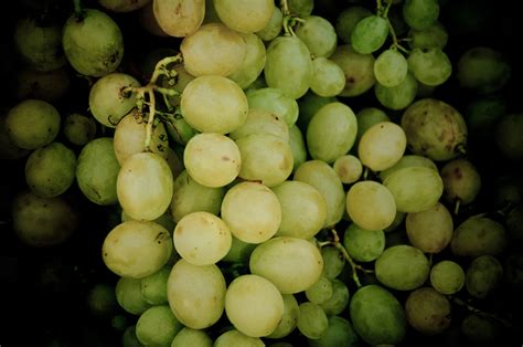 Free photo: Green Grapes - Food, Fresh, Fruit - Free Download - Jooinn