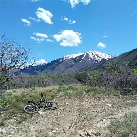 Haro Extreme X3 Mountain Bike Reviews | Mountain Bike Reviews ...